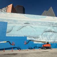 El artista Robert Wyland demandó a la FIFA por US$25 millones luego de que su emblemático mural de ballenas en Dallas, Texas, fuera cubierto para los preparativos del Mundial de 2026. Foto: redes sociales @wyland