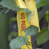 El triple homicidio ocurrió en la vereda Santa Ana, en Abejorral. FOTO: Edwin Bustamante Restrepo