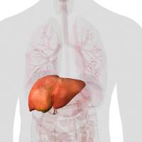 La enfermedad puede desarrollarse durante décadas sin síntomas. FOTO AFP