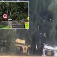 Los árboles cayeron sobre por lo menos cuatro automotores. FOTO: imagen tomada de redes.