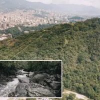 Imagen de referencia de la biodiversidad de la ciudad de Medellín. FOTO: Cortesía.