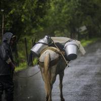 Descripción: Recorrido por desplazamiento forzado en el municipio de Briceño, por el frente 36 de las Farc. Lugar: Briceño. Fecha de evento: 21/10/2025. Foto: Andrés Camilo Suárez Echeverry.
