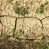 2025 fue el tercer año más cálido de la historia y acerca al planeta a un umbral crítico