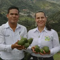 Nelsy y José, líderes de Produscas, en Caicedo. La Asociación transforma la vocación agrícola de los minifundios a través de la tecnificación. FOTO MANUEL SALDARRIAGA