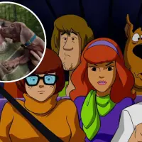 El personaje de Scooby-Doo será interpretado por un gran danés real en la nueva serie live action de Netflix. Foto: redes sociales / Netflix
