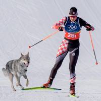 El animal, tras entrar a la pista, se colocó detrás de dos deportistas corrió varios metros como si también fuera parte de la prueba. Foto: AFP