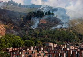 Incendios forestales: mezcla explosiva entre consumo y cercanía al sol