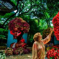 La Feria de las Flores 2025 convierte a Medellín en un escenario lleno de color, música, tradición y diversidad cultural, con decenas de eventos para todos los públicos. FOTO Camilo Suárez