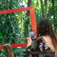 La museografía de Los bosques. Tejiendo lo invisible, estuvo a cargo de CEB Estudio, con la dirección de Carlos Betancourt Salazar y la asistencia de Agostina Macchi. Con ellos, el equipo del Jardín Botánico de Medellín construyó la propuesta conceptual y estética de la exposición. FOTOS Esneyder Gutiérrez 