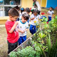Los niños y niñas se involucran en el cuidado de las plantas presentes en los centros donde ellos son atenidos. FOTO: CORTESÍA ALCALDÍA