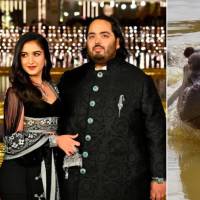 Anant Ambani se ofreció a recibir los 80 hipopótamos de Pablo Escobar en Colombia. ¿A dónde los llevará? FOTO: GETTY