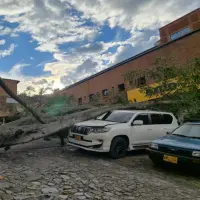 Así quedó el vehículo afectado tras la caída del enorme árbol al interior del estacionamiento. FOTO: Cortesía.