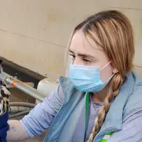 Este fue el búho rescatado del centro comercial ubicado en Bello. FOTO: Cortesía Denuncias Antioquia