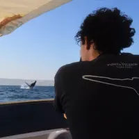 Alrededor de seis meses del año, Esteban se la pasa navegando por el mundo, aprendiendo y enseñando sobre la vida en las profundidades oceánicas.. FOTO Archivo personal Esteban Duque