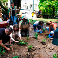 En los años 80 en Medellín, distintas entidades se reunieron y entendieron que el aseo no podría ser responsabilidad de una sola persona, así comienza la historia del comité. FOTO: Cortesía Alcaldía de Medellín