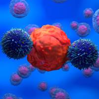Ilustración de una célula linfocito T (azul) atacando la célula cancerígena (roja) como ocurre con la terapia CAR-T. FOTO: Getty