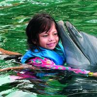 Gracias a la generosidad de empresas y personas, Mariana, su madre y su hermana estuvieron cuatro días en las playas de Santa Marta, donde pudo cumplir su sueño de conocer los delfines y renovar sus esperanzas en el futuro. FOTO Julio Herrera