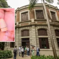Estos fueron algunos de los elementos encontrados por los docentes de la Universidad de Antioquia en la prueba del pasado 10 de abril. FOTOS: CAMILO SUÁREZ Y CORTESÍA