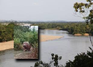 El avistamiento se produjo en límites entre el departamento de Antioquia y Boyacá. FOTOS: Cortesía 
