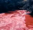 EN VIDEO: Río teñido de rojo alertó a los antioqueños, ¿qué pasó?