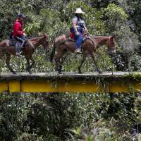 Imagen de referencia de campesinos en Antioquia. Foto: Manuel Saldarriaga Quintero