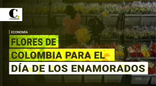 700 millones de flores colombianas en el mundo para enamorar en San Valentín