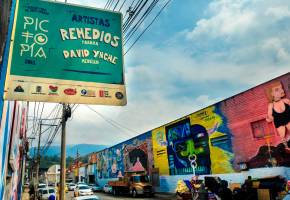 Las fachadas del barrio Colombia han servido de lienzo a varias ediciones del Festival Pictopía, que reúne a grandes exponentes del grafiti local y foráneo. Fotos: Camilo Suárez.