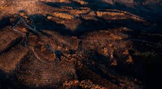Este desastre, que la Comisión Europea ha considerado como el “incendio forestal más grande en la historia en Europa” desde que en 2000 comenzaron a registrarse este tipo de datos, ha dejado hasta ahora 20 personas fallecidas. Foto: Getty