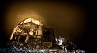 Foto: “Atractivo mortal” de Chien Lee, fue la ganadora en la categoría: Plantas y hongos. Las fotos ganadoras no solo celebran la creatividad y la técnica, sino también la importancia de preservar los ecosistemas frente al impacto del cambio climático y la acción humana. Foto: Chien Lee