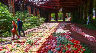 El artista botánico japonés Azuma Makoto creó una instalación floral monumental con más de 2,500 bromelias en la iglesia de El Retiro, Antioquia, para la Bienal Internacional de Arte de Antioquia y Medellín (BIAM). Foto: Camilo Suárez