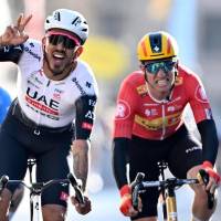 Molano, oriundo de Paipa, buscará recuperar protagonismo en las llegadas masivas y ampliar su palmarés en el máximo nivel del ciclismo mundial. FOTO X-UAE