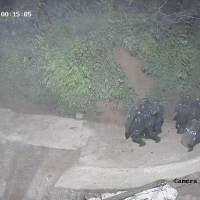 El personal de la Unidad de Diálogo y Mantenimiento del Orden procedió en el lugar, sin embargo, las autoridades afirmaron que varias personas evitaron la ejecución de la orden de registro. FOTO: Cortesía empresa Frontera Gold S.A.S