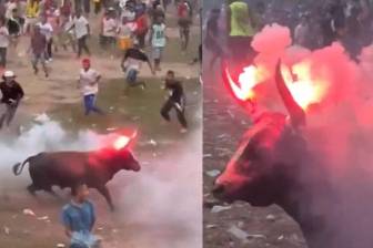 Prendieron fuego a los cuernos de un toro en corralejas de Sabanalarga. Foto: redes sociales @PlataformaALTO