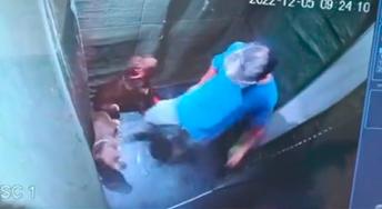 Captura de video del agresor de dos perros en Medellín - Foto: captura de video Twitter