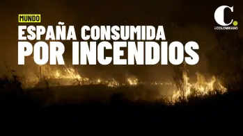 España en llamas: ejército desplegado contra incendios forestales que arrasan el país