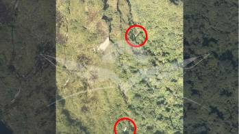 Tras la pérdida de comunicación con la aeronave, las autoridades iniciaron de inmediato las labores de búsqueda. Foto: Redes sociales @FuerzaAereaCol