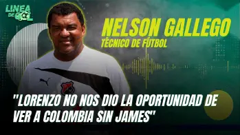 “Lorenzo no nos dio la oportunidad de ver a Colombia sin James”: Nelson Gallego