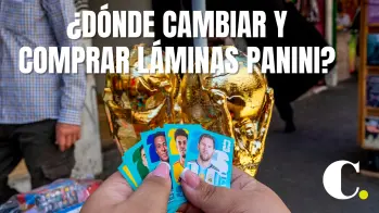 Guía completa para llenar tu álbum Panini: Precios, cambios y tips
