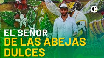 En Venecia conservan abejas sin aguijón que producen miel con perfiles de sabor propios