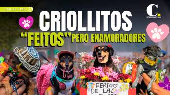 Criollitos, “feitos” pero enamoradores