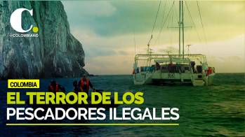 El terror de los pesqueros ilegales en Malpelo