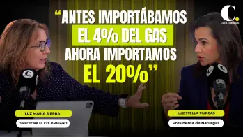 “Antes importábamos el 4% del gas, ahora importamos el 20%”