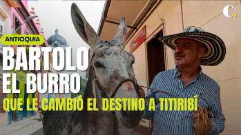 La historia de Bartolo, el burro que le cambió el destino a Titiribí