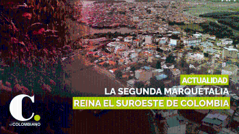 Entre coca y “obra social”, la Segunda Marquetalia reina en el suroeste de Colombia