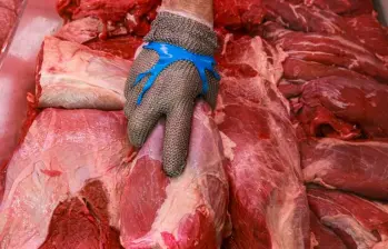 Afectaciones por las lluvias han provocado la muerte de más de 3.000 bovinos. FOTO: MANUEL SALDARRIAGA