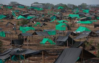 La hacienda Santa Helena, en el municipio de Caucasia, fue invadida este año por más de 5.000 familias. FOTO: MANUEL SALDARRIAGA QUINTERO