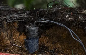 Las minas son un flagelo constante en Antioquia, pues ya van 23 casos este año. FOTO: Julio César Herrera Echeverri