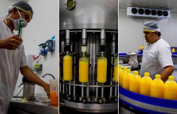 Cada parte del proceso de producción y de la fruta se aprovecha en Frudelca. De la naranja se uso el juego, los aceites, el compostaje y otra líneas de negocio. FOTO JULIO CÉSAR HERRARA