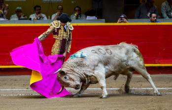 El proyecto no prohíbe inmediatamente las corridas de toros, sino que da un plazo de tres años para hacer la transición. FOTO: Jaime Pérez