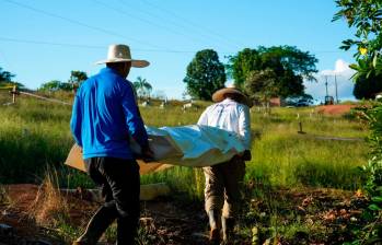 Muchos desaparecidos dentro del conflicto en Urabá podrían estar en Caquetá: UBPD